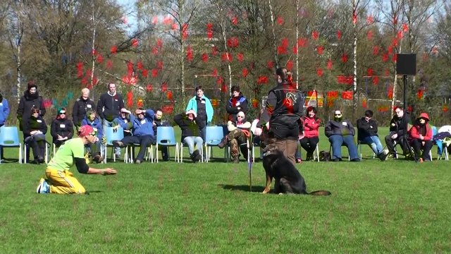 Dog Training - Competitive Focused Heeling with Ivan Balabanov