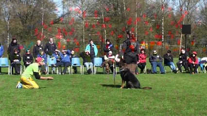 Dog Training -  Competitive Focused Heeling with Ivan Balabanov