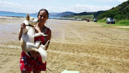 Sandboarding Supertramp Style - Play On in New Zealand! in 4K!