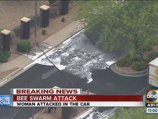 Bees attack woman in Peoria
