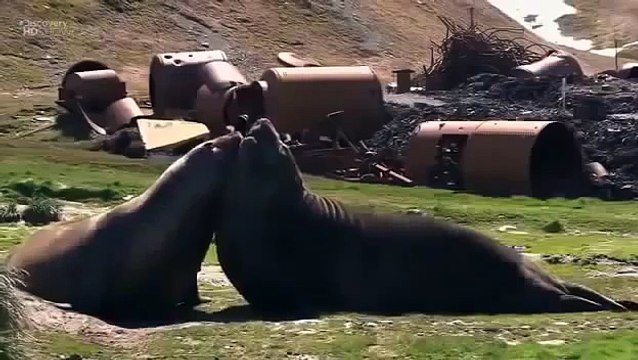 ANTARCTICA: ULTIMATE JOURNEYS - Discovery/Travel/Tourism (documentary)