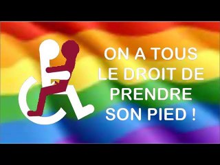 Marche Des FIERTES LGBTQPet des diversités LILLE FRANCE  6 juin 2015