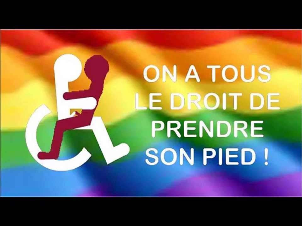 Marche Des FIERTES LGBTQPet des diversités LILLE FRANCE  6 juin 2015