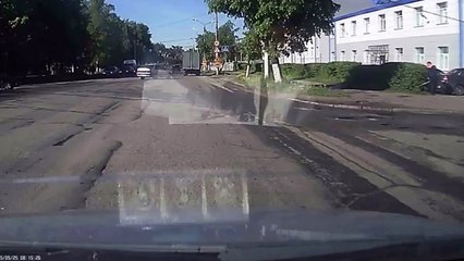 Un élan saute par-dessus une voiture