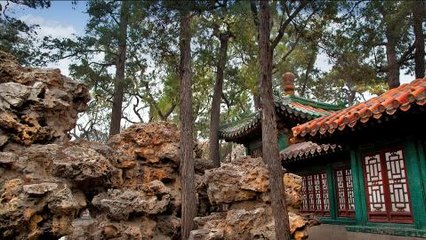 Andrew Solomon: 'Opulent Buddhism' in the Forbidden City