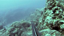 Diving Canary Islands, Lanzarote