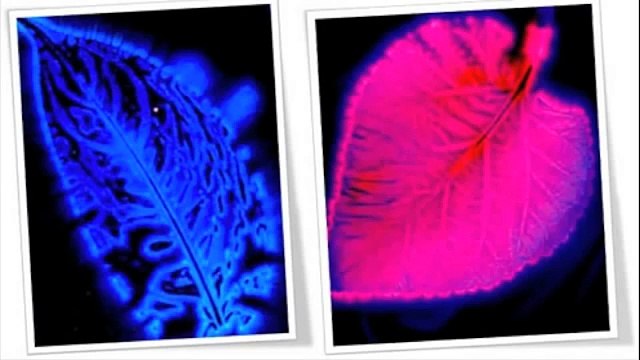 Spiritual Energy How To See Energy Auras Explained