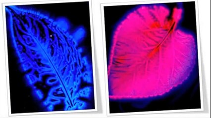 Spiritual Energy How To See Energy Auras Explained
