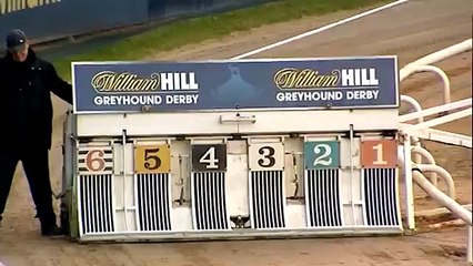 ROUND 1 - HEAT 27 - 2015 WILLIAM HILL GREYHOUND DERBY