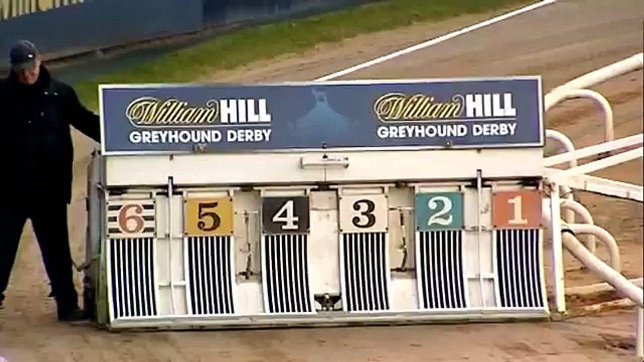 ROUND 1 - HEAT 27 - 2015 WILLIAM HILL GREYHOUND DERBY