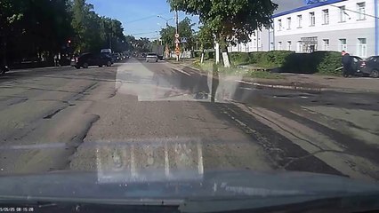 Un élan saute par-dessus une voiture