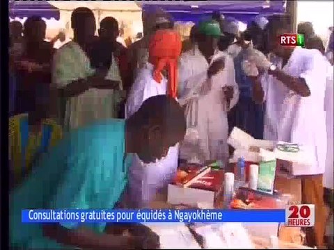 Consultations gratuites pour équidés à Ngayokhéme