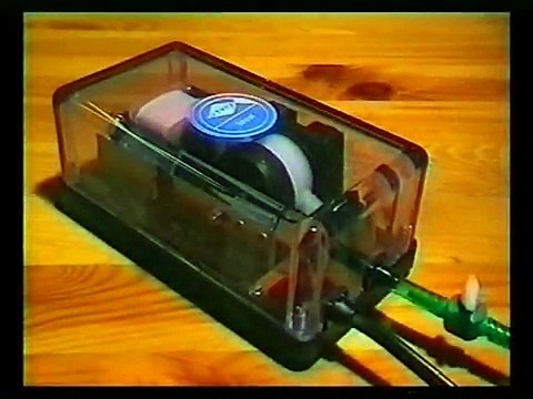 Artemia Salina - Der Urzeitkrebs