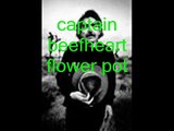 Captain Beefheart-Flower Pot