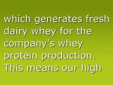 WHEY PROTEIN Side Effects