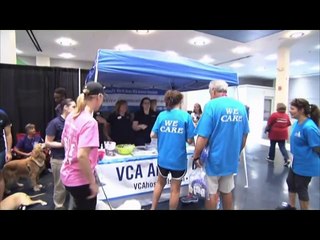 Dr. Troy Cobb on maintaining proper pet weight