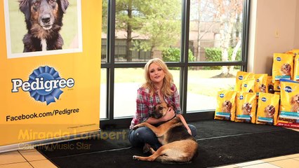 Join Miranda Lambert to Choose the Next Communities for The PEDIGREE® Feeding Project
