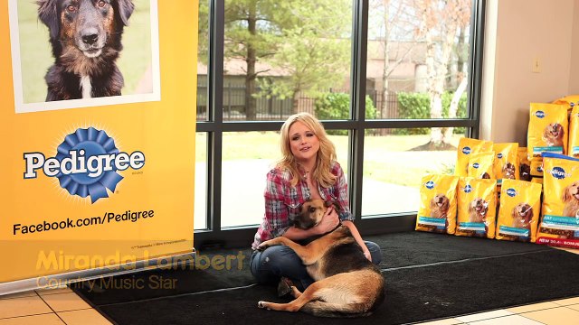 Join Miranda Lambert to Choose the Next Communities for The PEDIGREE® Feeding Project