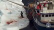 2010 Canada Seal Hunt:  Raw Footage from the Ice