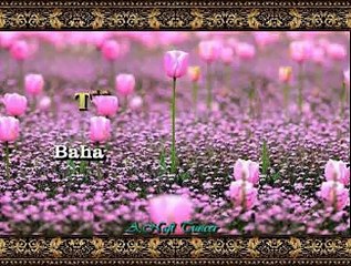 TRT TSM KORO *Bahar Pembe Beyaz Olur Güzeller Neş’eli Olur*