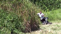 Swisher Trailcutter Cattail Mowing