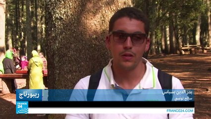 غابات الأرز في المغرب.. ثروة وطنية مهددة بسبب الإهمال والممارسات العشوائية