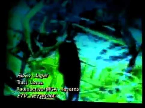 Traci Lords - Fallen Angel