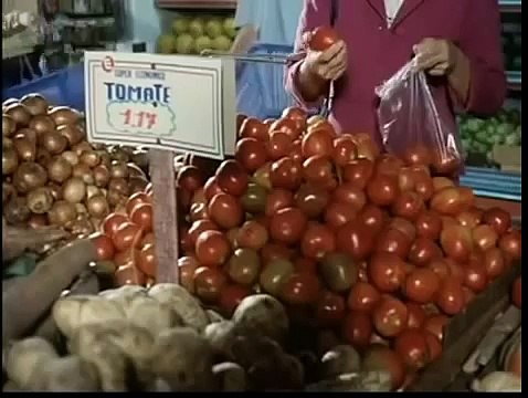 Documental: La Isla de las Flores (Español)