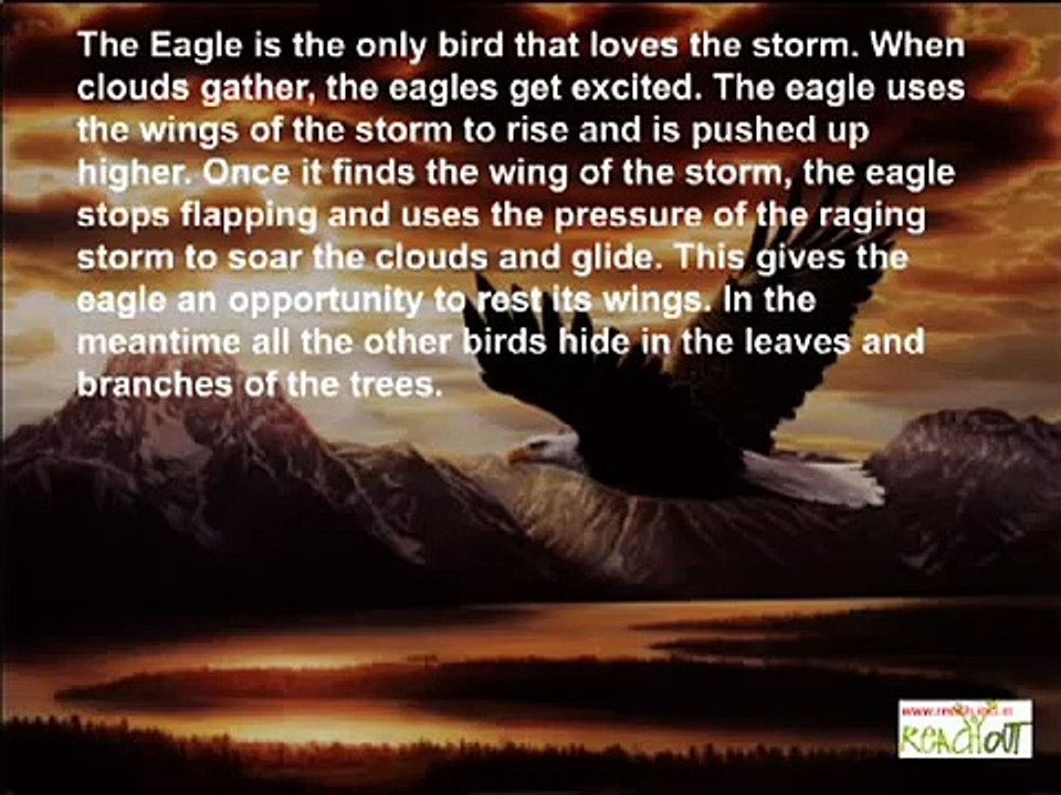 Motivation - Learn The Seven Principles of an Eagle