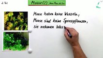 Bedeutung und Generationswechsel von Moosen | Biologie | Pflanzen und Pilze