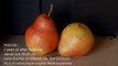Still life painting demo alla prima oil paint step by step 2 pears from life tutorial
