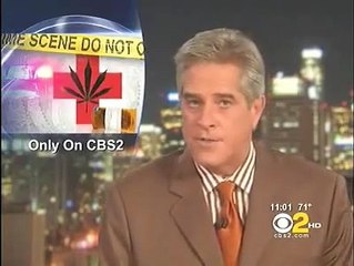 Weed Store Robbery Caught On Tape