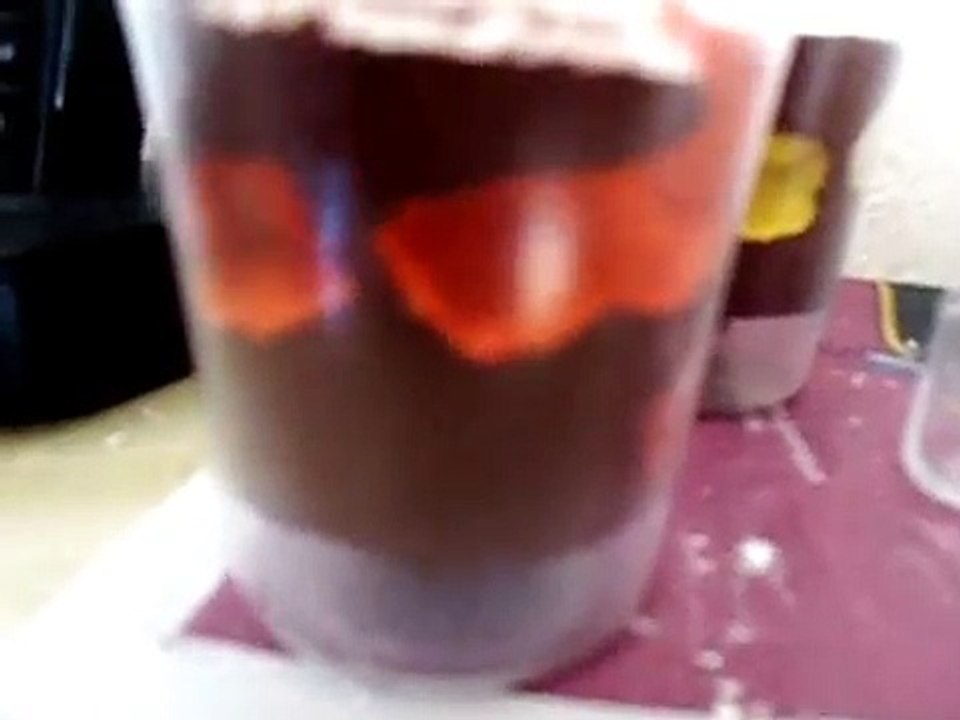 Nids en Plâtre et Kit de fondation/ Plaster Nests