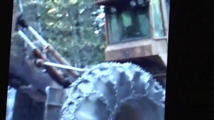 "Heritage State Park" Kitsap County" cutting 100 year old trees