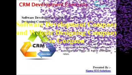 CRM Development Company