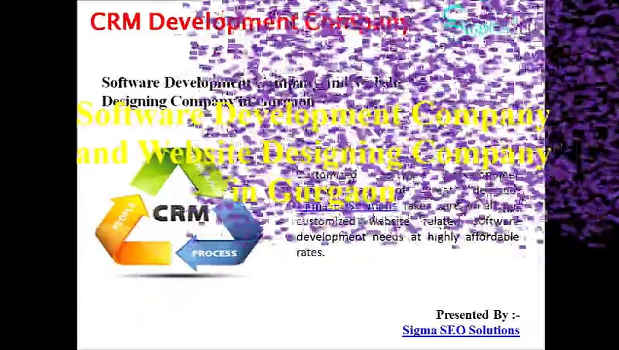 CRM Development Company