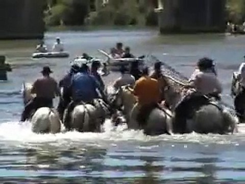 abrivade du vidourle manade les oliviers