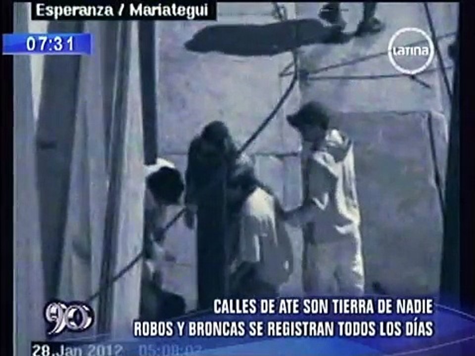 Delincuentes hacen de las suyas en avenidas de Ate Vitarte