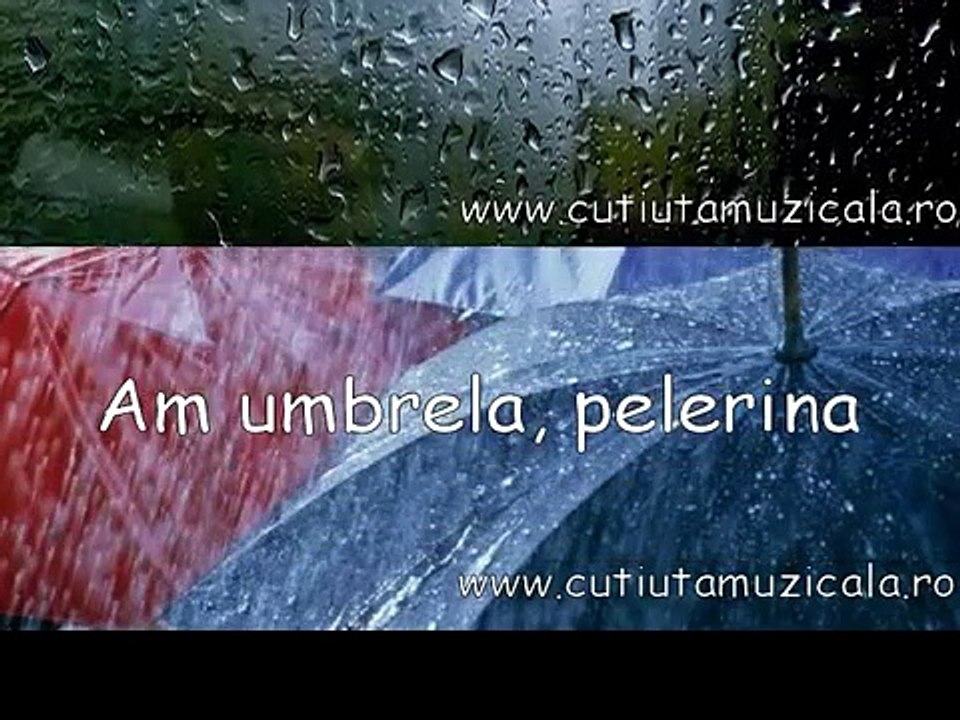 Vine ploaia pic pic pic/ Monica Anghel -Cutiuta Muzicala 9