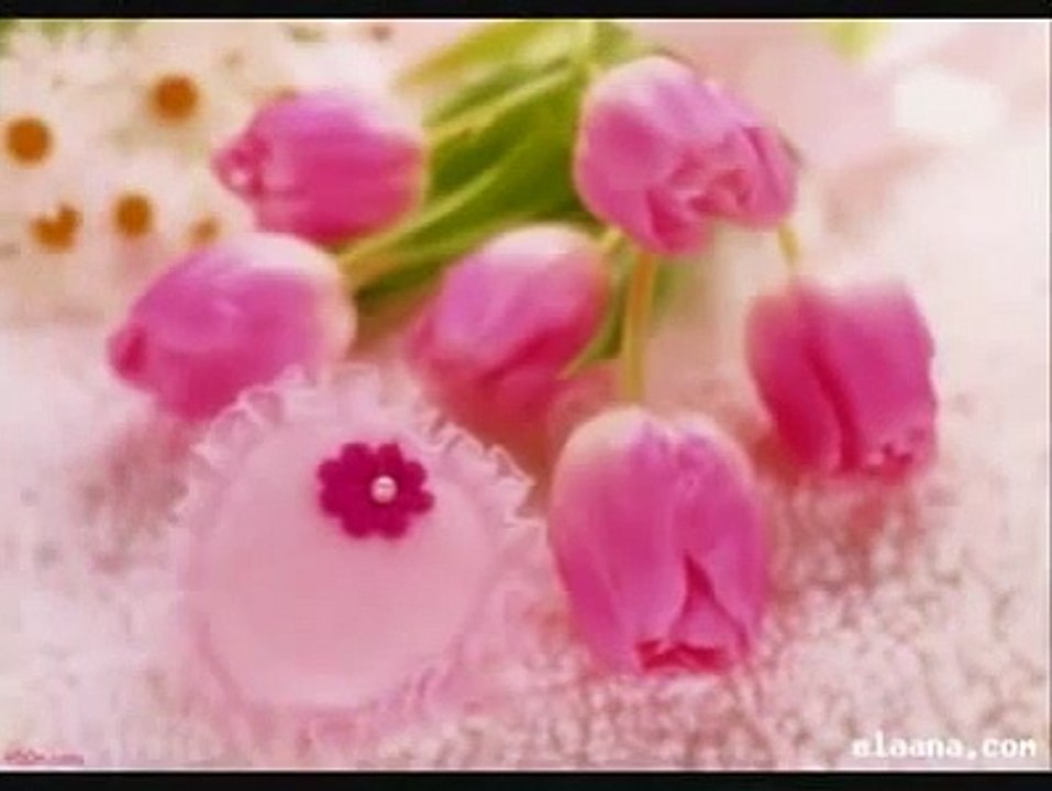 يا صاحبي فاض الحنين نشيد جميل جدا