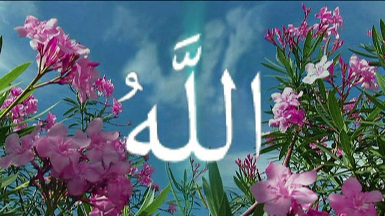 allah miracles ان عجزت عن الكلام فقط قل سبحان الله