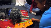 Inspired by Therapy Dogs - Therapy Dog Stories