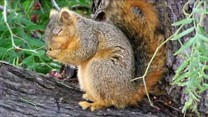 He Is The Almighty Allah معرفة الله تعالى تبدأ بالتفكر في آياته