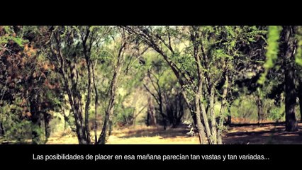 The Death of the Moth - Virginia Woolf