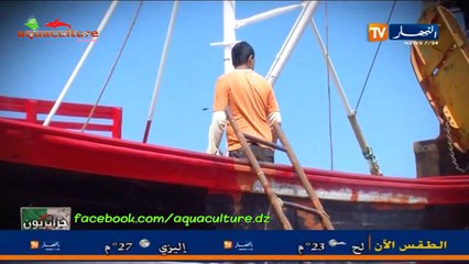 جزائريـــــــــــون - صيانة سفن الصيد البحري