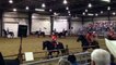 Canadian Horse Demo Main Event 2013