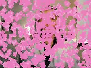 APRESENTAÇÃO CURSOS VILLA QUANTUM