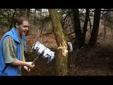 Kori chops down a Tree with a Cardboard Hammer