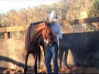 Paul Clarkson Horsemanship