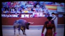 Bullfighter looses testicle during bull fight in spain : so violent accident